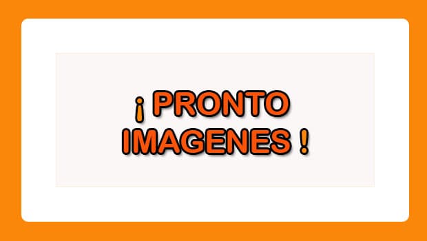 Hyundai Porter Ii Dohc 2.5 2021, patente PPFY80